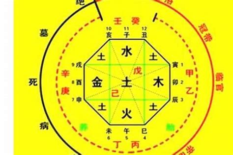 姓名 五行 查詢|生辰八字算命、五行喜用神查询（免费测算）